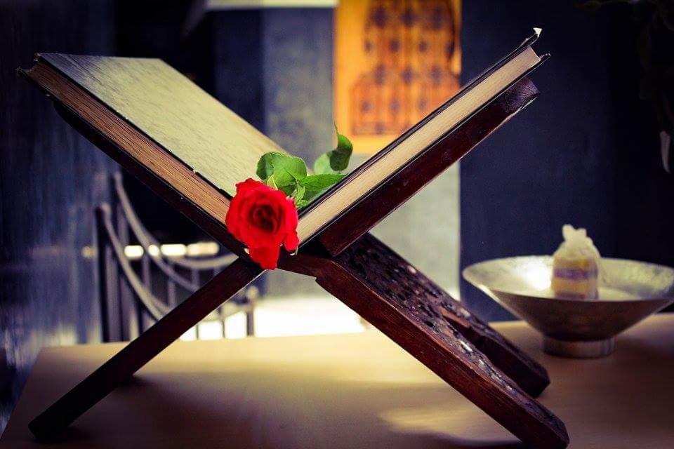 Riad La Fibule Marrakesh Ngoại thất bức ảnh